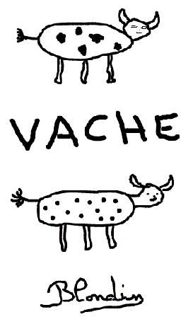 vache